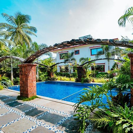 Hola Amigos Stays Anjuna Extérieur photo