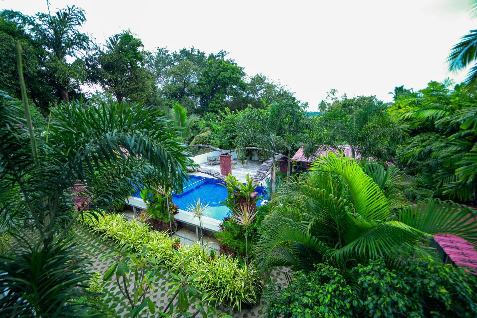 Hola Amigos Stays Anjuna Extérieur photo